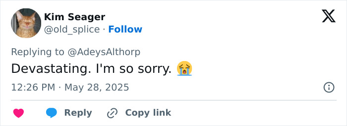 Princess Diana’s Iconic Althorp House Set On Fire In Arson Attack Princess Diana’s Iconic Althorp House Set On Fire In Arson Attack