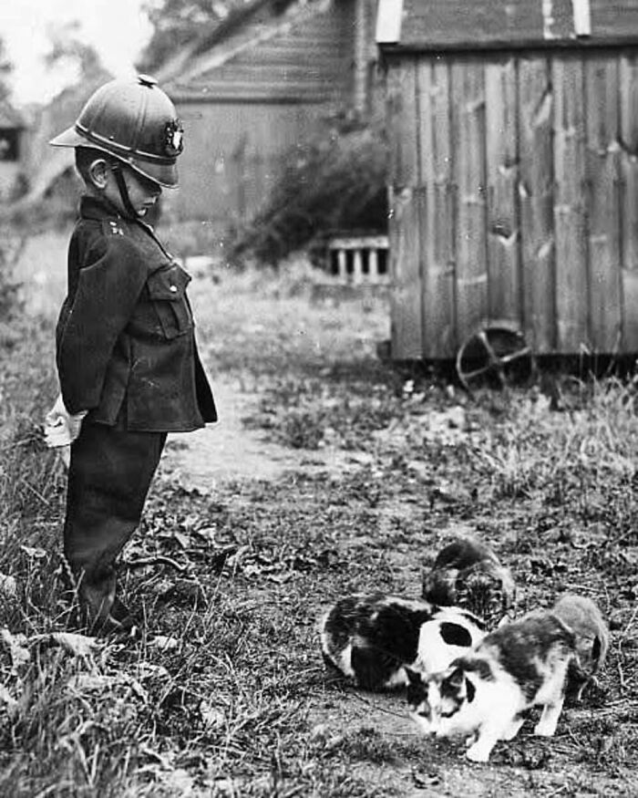 Vintage black and white photo of a young boy in uniform watching cats outside near a wooden shed, showcasing kids and cats bond.