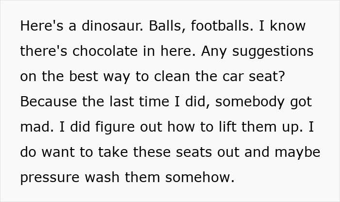 &ldquo;Trigger Warning&rdquo;: Mom Films Herself Cleaning Her Car, Receives Backlash