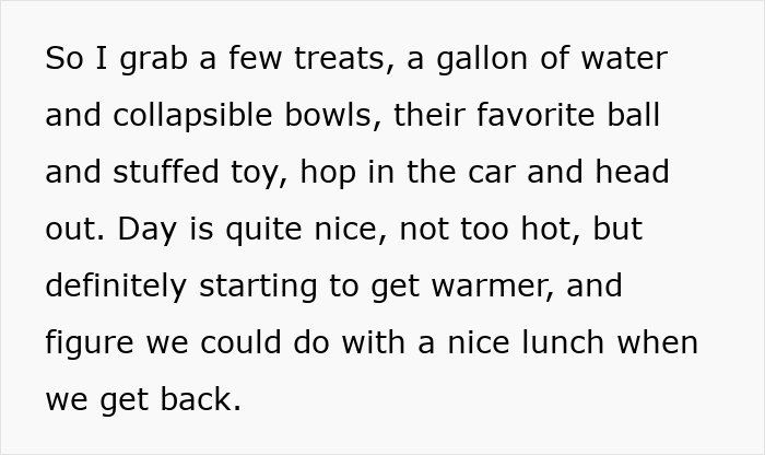 Dog at park with owner holding treats and toys, kids nearby, capturing a tense moment of an attempted dog theft.