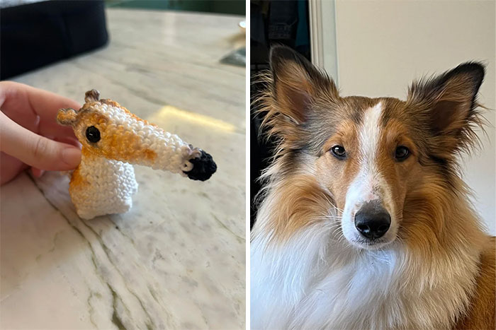 Close-up of a handmade crochet dog figure beside a real dog with long fur and upright ears indoors.