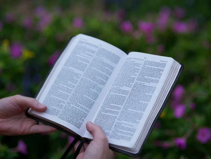 Person holding an open book outdoors with blurred flowers in the background, relating to people who escaped cults.