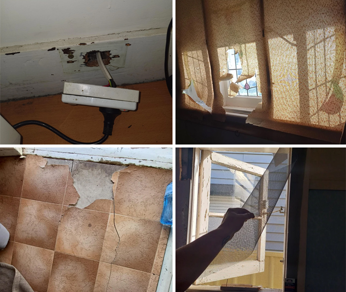 Damaged flooring, broken window screens, torn curtains, and exposed wiring showing bad landlords neglecting rental maintenance.