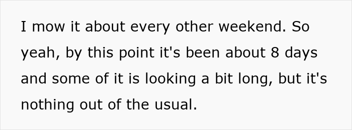 Text excerpt about Karen faking wellness checks and commenting on neighbor’s lawn, showing a casual explanation. Text excerpt about Karen faking wellness checks and commenting on neighbor’s lawn, showing a casual explanation.