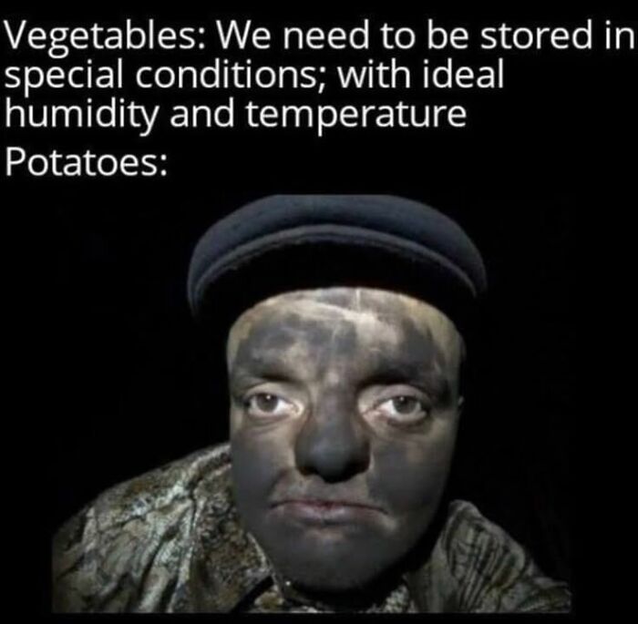 Meme comparing vegetables' storage needs to a dirty face labeled as potatoes, using humor from funny memes.