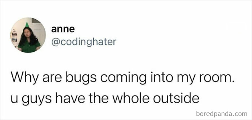 Funny meme text about bugs invading a room, reflecting frustration one inconvenience away from a full meltdown.