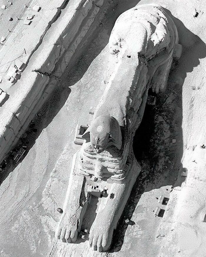 Aerial view of the ancient Great Sphinx of Giza statue showcasing ancient history and archaeological site details.