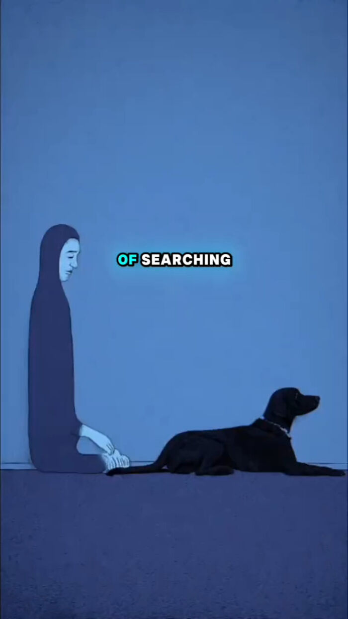 Person sitting quietly next to a black dog, illustrating what dogs go through in the 72 hours after their human passes.