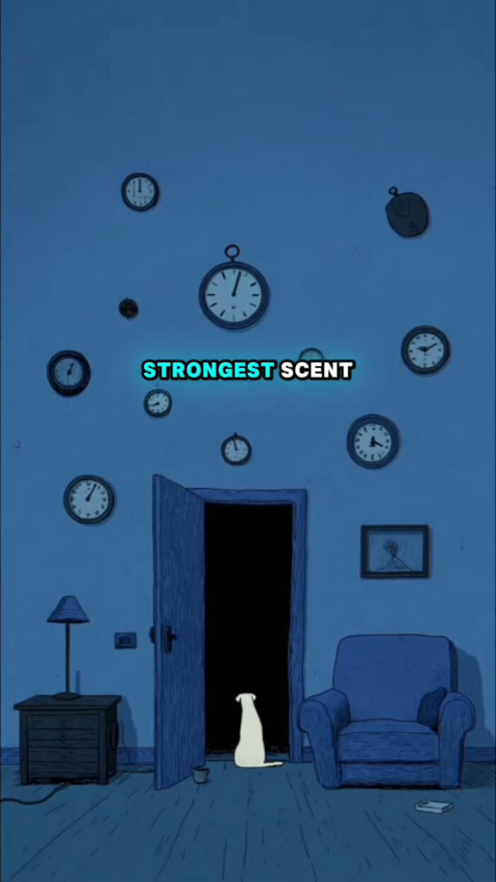 Illustration of a dog sitting by an open door with clocks on the wall, showing what dogs go through after their human passes.