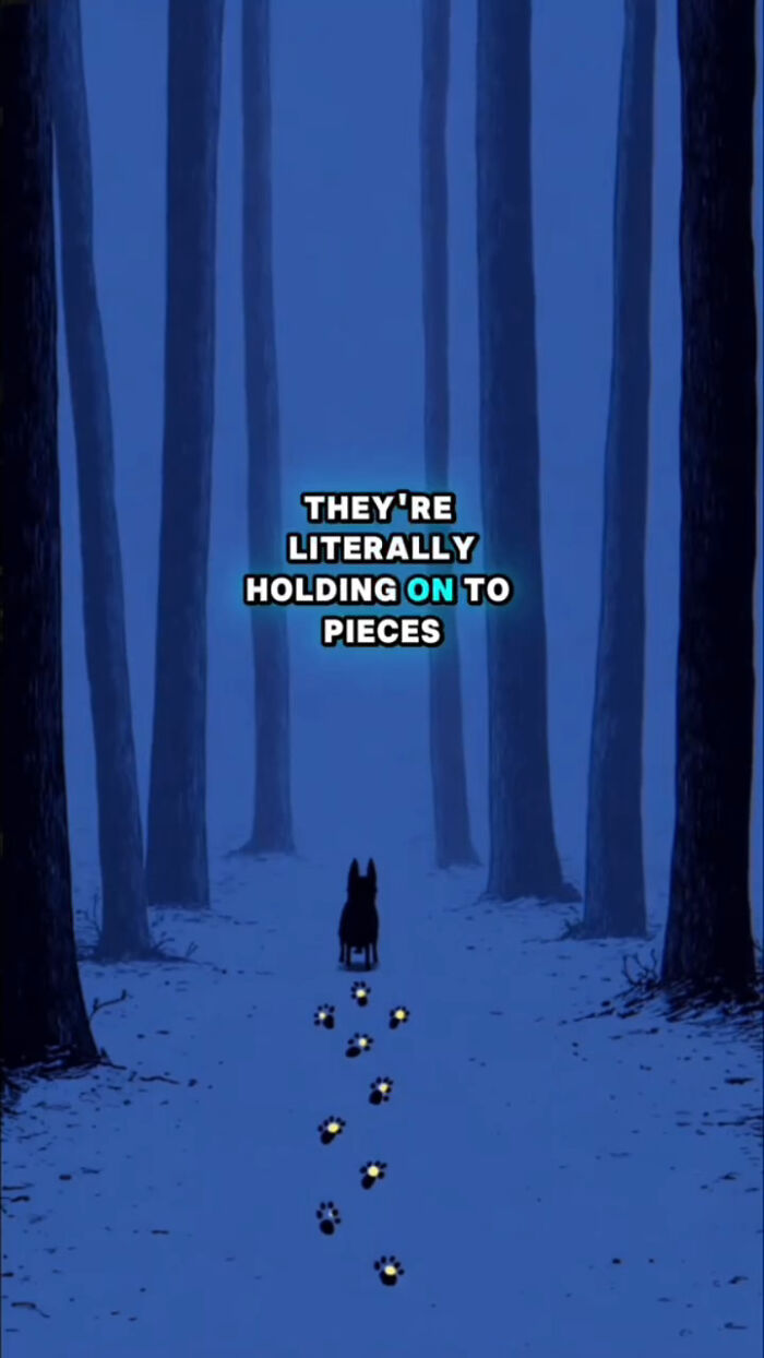Silhouette of a dog in a dark forest following paw prints, illustrating what dogs go through after their human passes.
