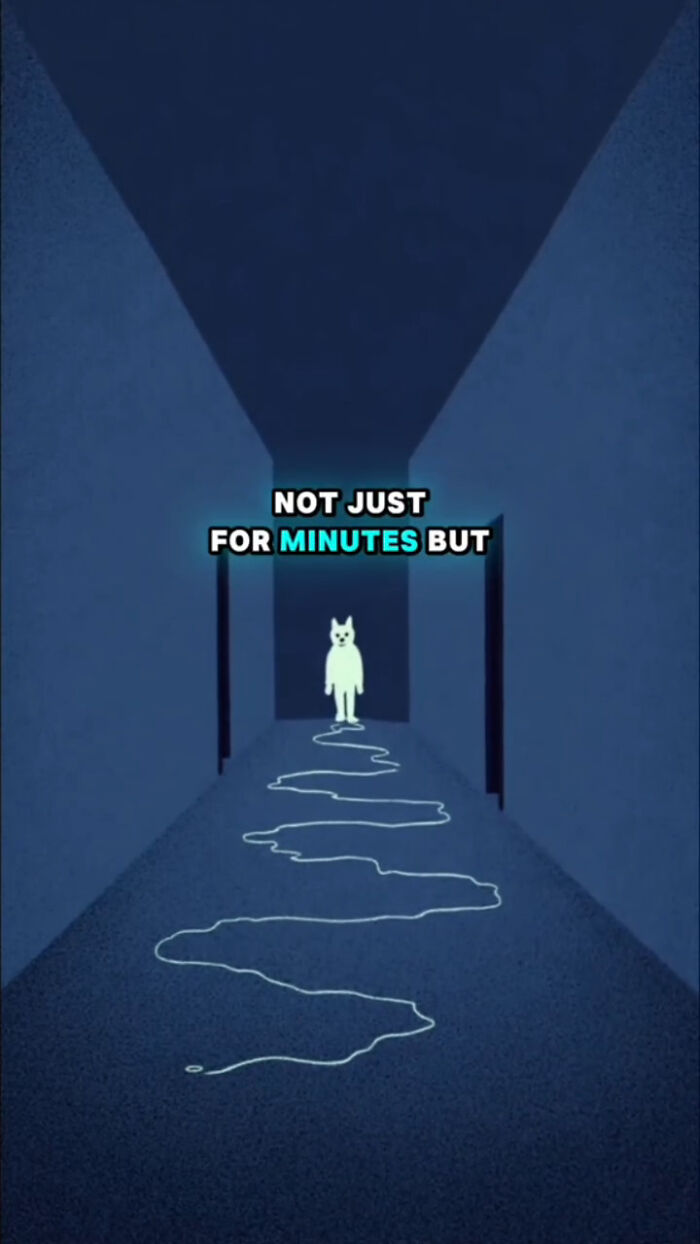 Animated dog standing in a dark hallway with a glowing trail, illustrating what dogs go through after their human passes.