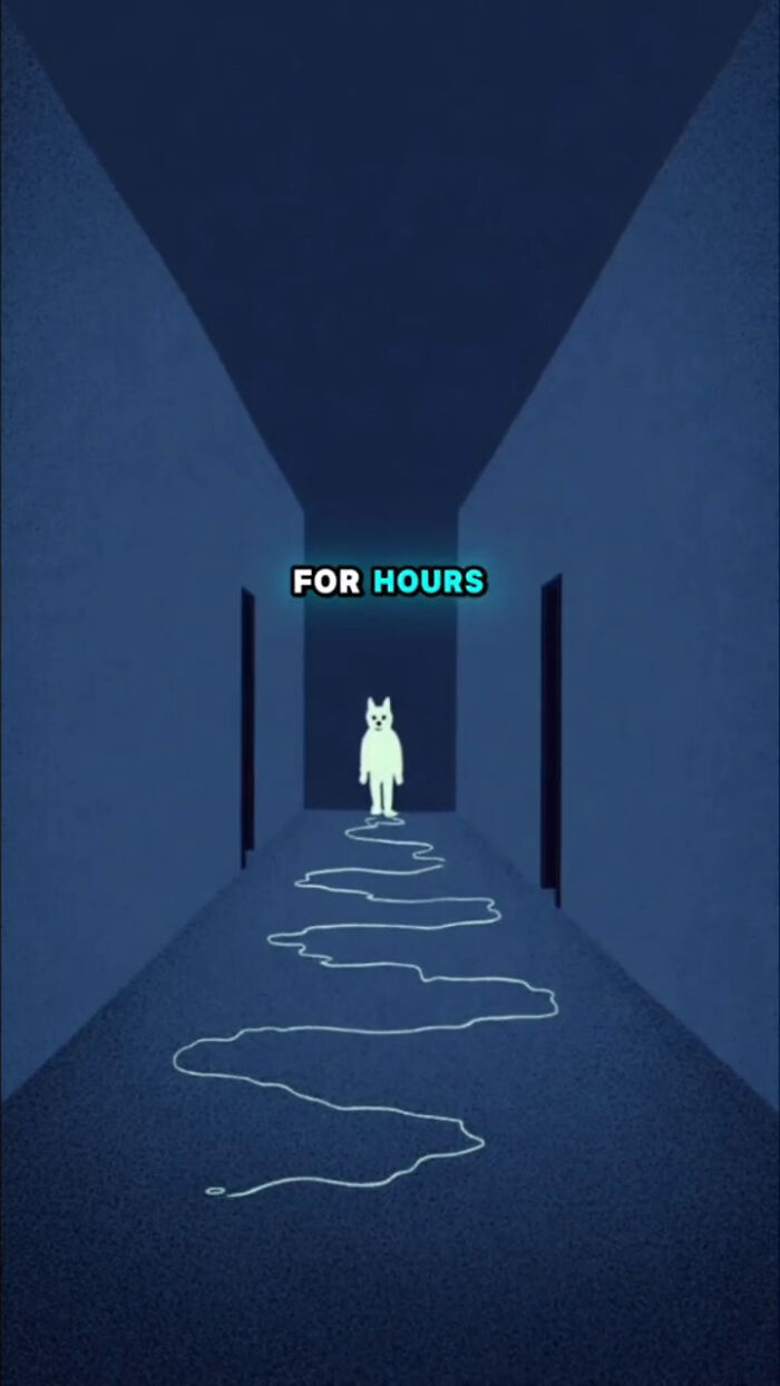 Illustration of a dog standing in a dark hallway with a glowing trail, depicting what dogs go through after their human passes.