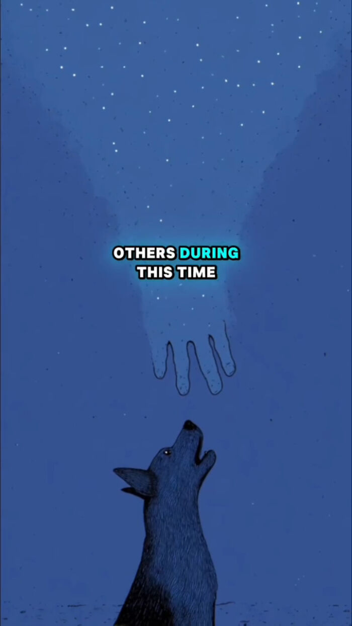 Illustration of a dog looking up at a glowing hand in the night sky, depicting what dogs go through after their human passes.