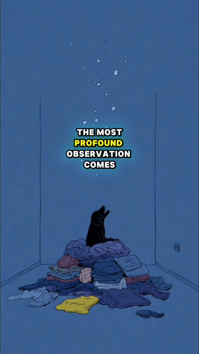 Illustration of a dog sitting on a pile of clothes with text about dogs 72 hours after their human passes.