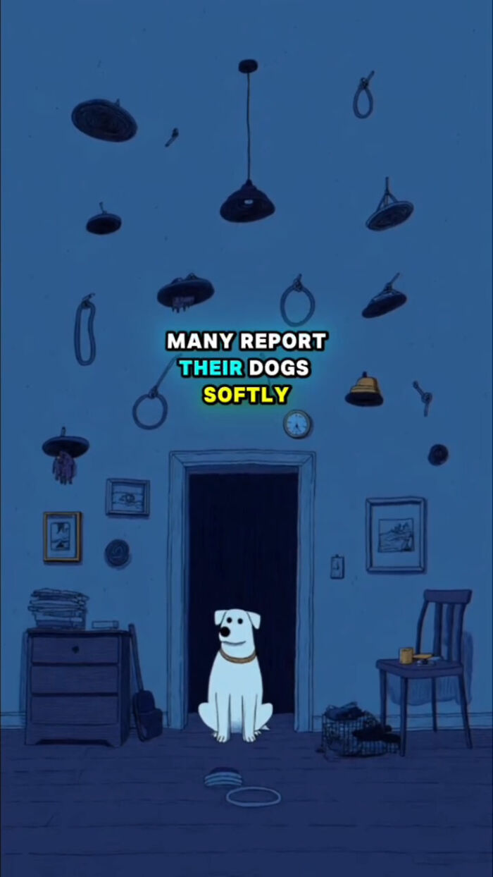 Animated dog sitting in a dim room with collars hanging, illustrating what dogs go through after their human passes.