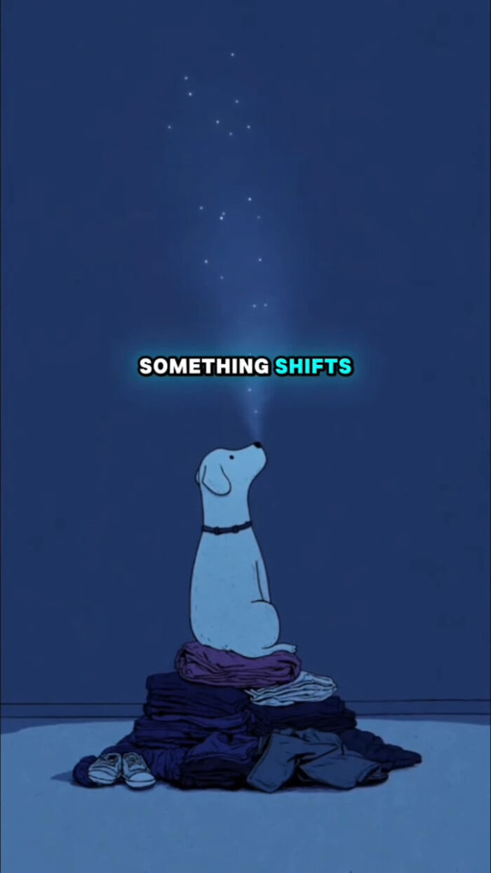 Illustration of a dog sitting on clothes with glowing stars above, representing what dogs go through after their human passes.
