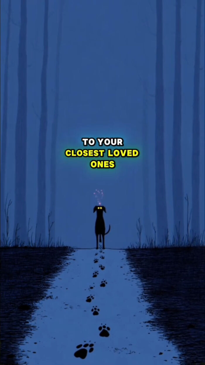 Animated black dog with glowing eyes standing on a lonely path with paw prints, illustrating what dogs go through after loss.