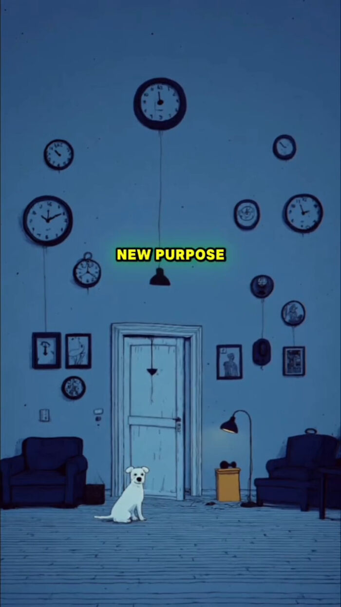 Illustration of a dog in a room with clocks, symbolizing what dogs go through in the 72 hours after their human passes.