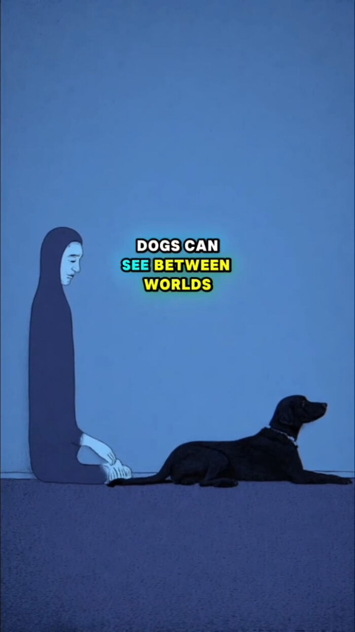 Illustration of a dog and a ghostly figure with text about what dogs go through after their human passes.