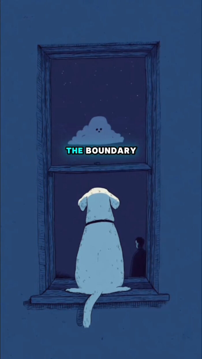 Illustration of a dog looking out a window at a ghostly figure, representing what dogs go through after their human passes.