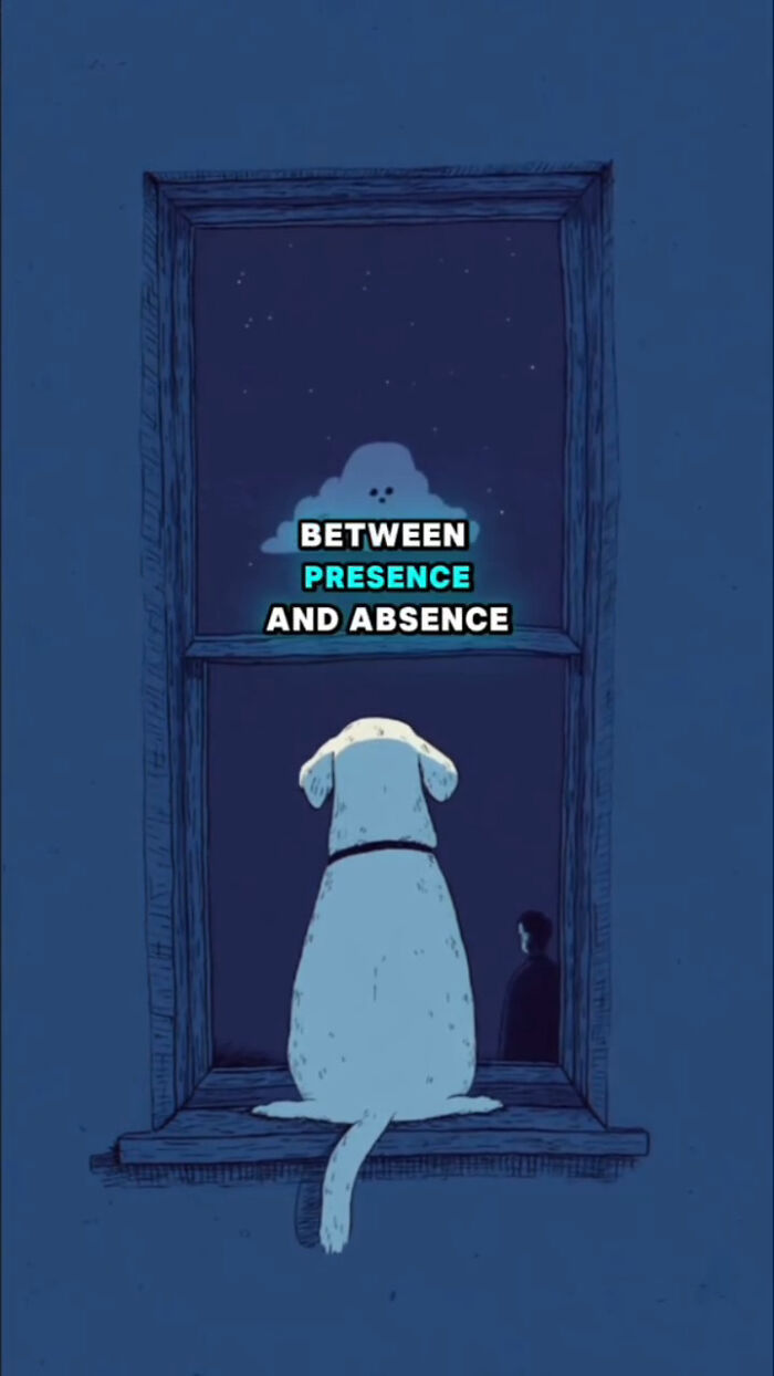 Illustration of a dog sitting by a window at night, capturing the presence and absence emotions after human loss.