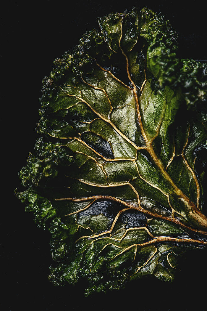 Close-up of a vibrant green leaf showing intricate veins and texture in a world food photography awards shot.