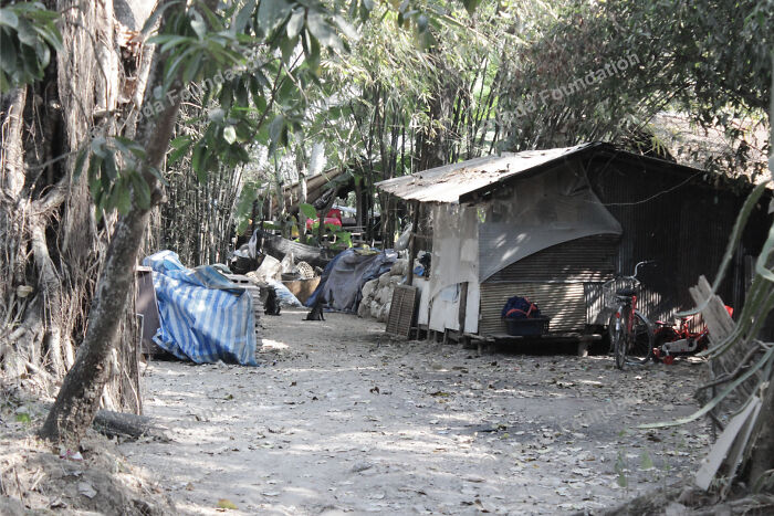 The Last Meal Or The Beginning Of Hope