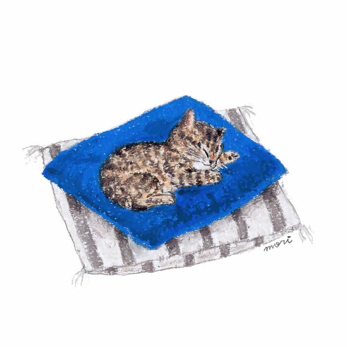 Sleeping cat drawn in adorable artwork for cat lovers, resting on blue and gray cushions in a cozy setting.