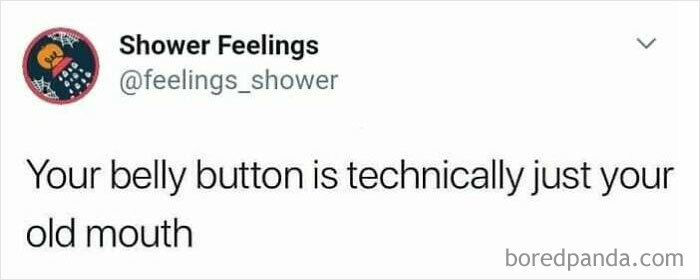 Tweet from Shower Feelings humorously stating your belly button is technically just your old mouth, a quirky shower thought.