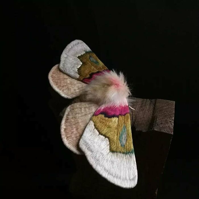 Embroidered fiber moth with detailed stitches in white, pink, and gold tones on a dark background by Yumi Okita.