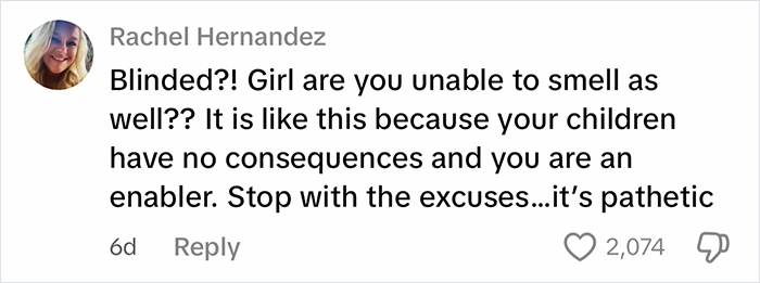 Comment from Rachel Hernandez criticizing a woman cleaning out a filthy car, sparking internet reactions about good job mama comments.