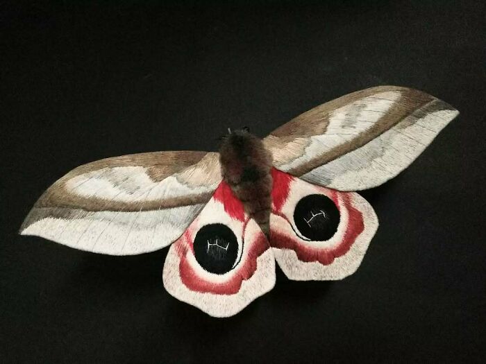 Embroidered fiber moth with detailed wings in shades of brown, white, red, and black on a dark background.