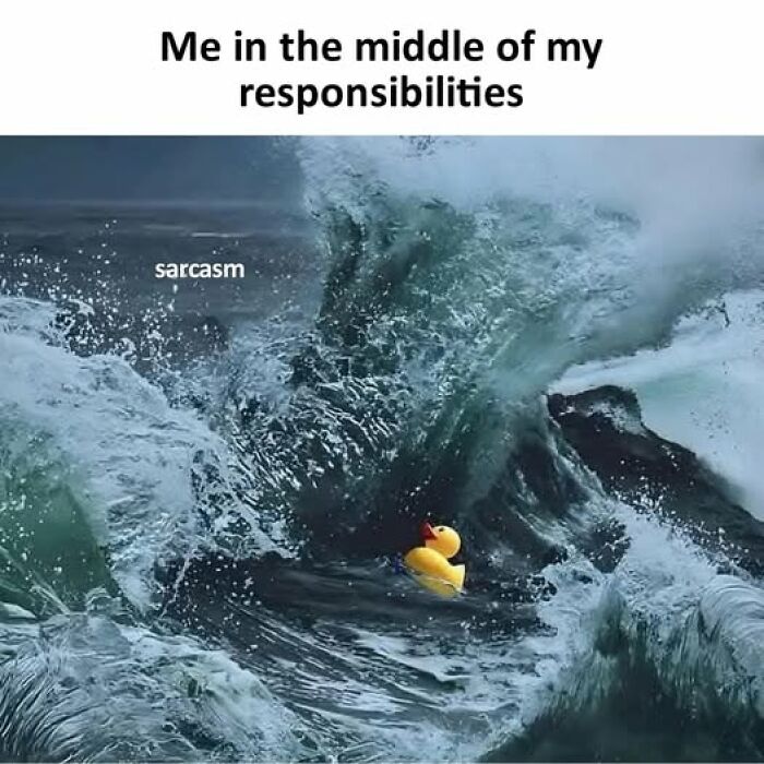 Rubber duck labeled sarcasm in turbulent ocean waves, illustrating chaos amid responsibilities in a hilarious meme format.