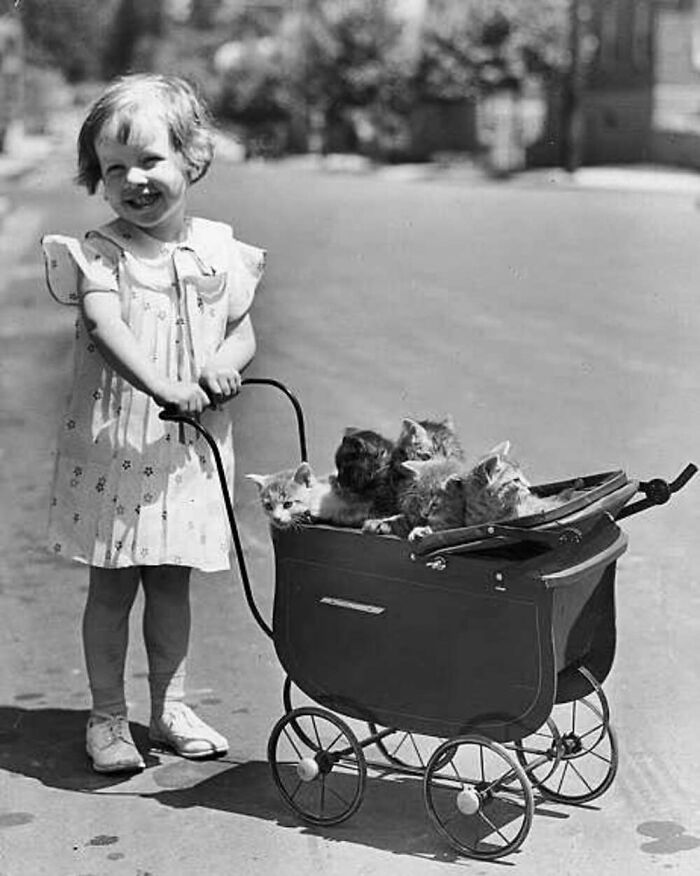 Vintage photo of a smiling child pushing a stroller filled with kittens, showcasing the timeless bond between kids and cats.