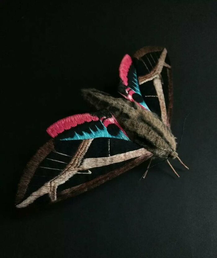 Embroidered fiber moth with detailed pink, blue, and brown stitching on black background showcasing fiber moth artistry.
