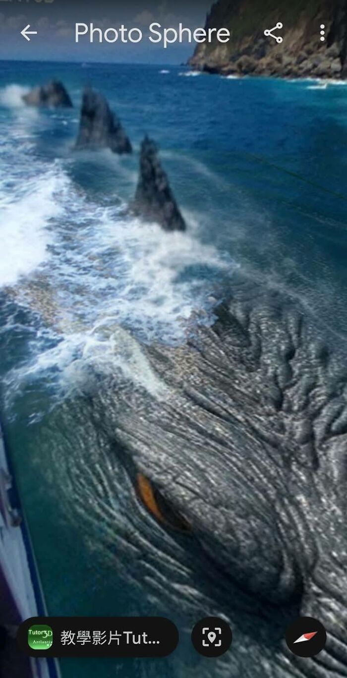 A massive sea creature seemingly emerging from the ocean, one of the odd things found on Google Earth.