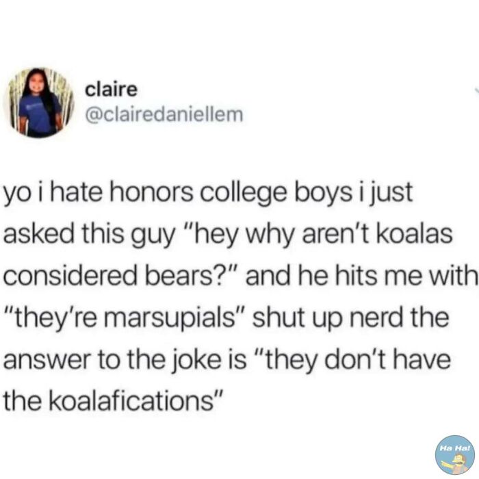 A funny mocking post with a koala pun joke illustrating humor in memes and jokes about college boys.