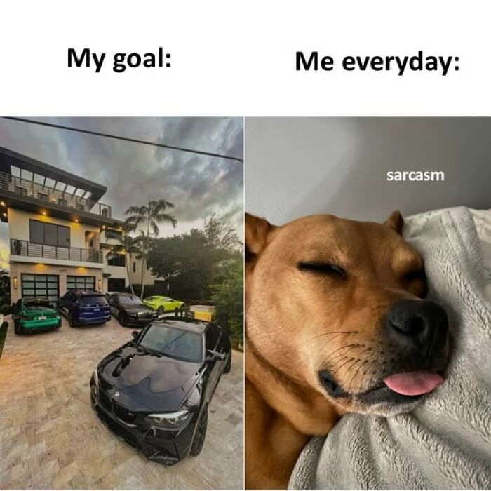 Two-panel meme from a hilarious Facebook page showing luxury car goal versus a sarcastic dog relaxing every day.