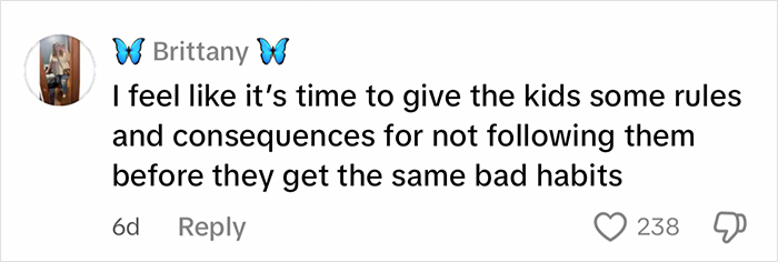 Comment from Brittany about setting rules for kids to prevent bad habits, related to woman cleaning out filthy car.
