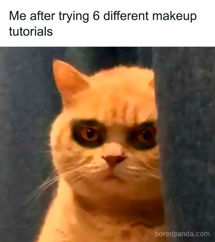 Cat with dark makeup around eyes, looking unimpressed, humorously illustrating sarcastic memes about makeup fails.