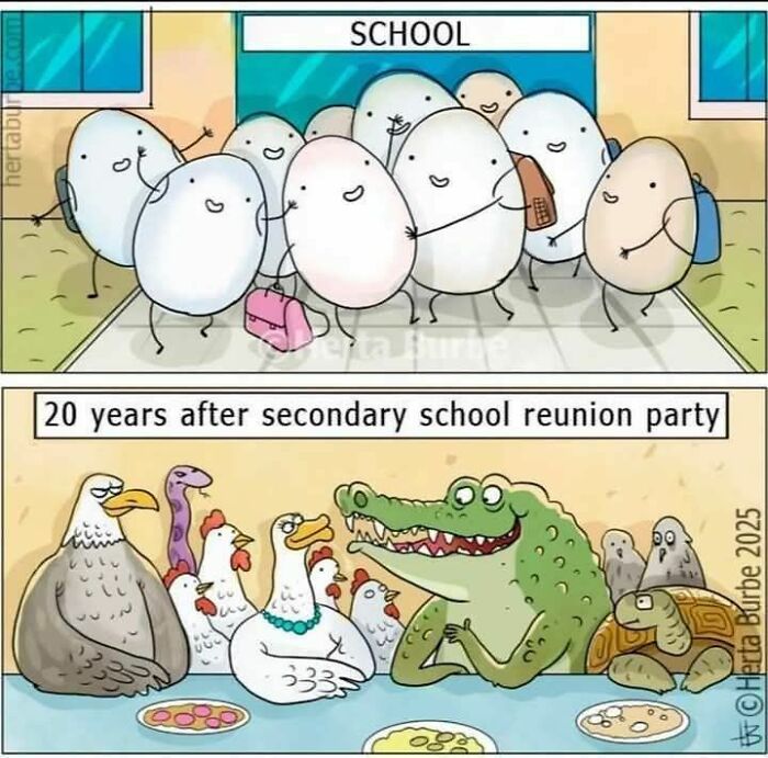 Cartoon meme showing eggs as students at school and various animals 20 years later at a reunion, funny meme concept.
