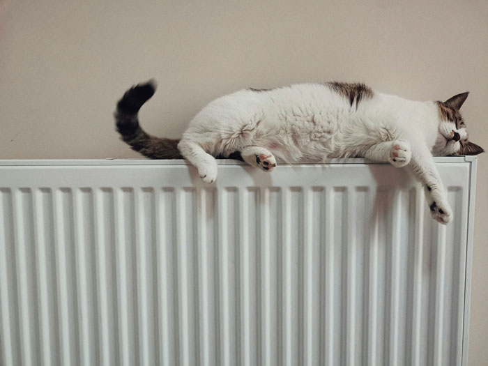 Cat lying on a radiator, illustrating comfort and warmth while subtly hinting at ways people lose money thinking they’re saving.