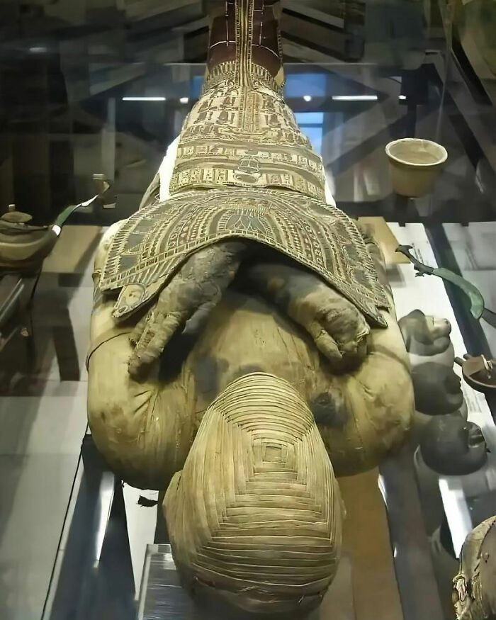 Ancient Egyptian mummy with decorated funerary mask displayed in museum highlighting ancient history artifacts.