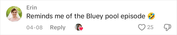 Comment on social media about a mom&rsquo;s petty revenge going viral, referencing a memorable pool episode with laughing emoji.