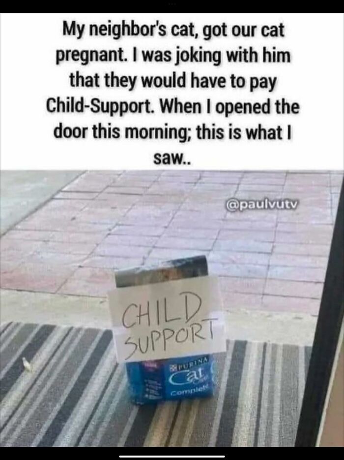 Funny animal meme showing a cat food bag labeled child support after neighbor's cat got their cat pregnant.