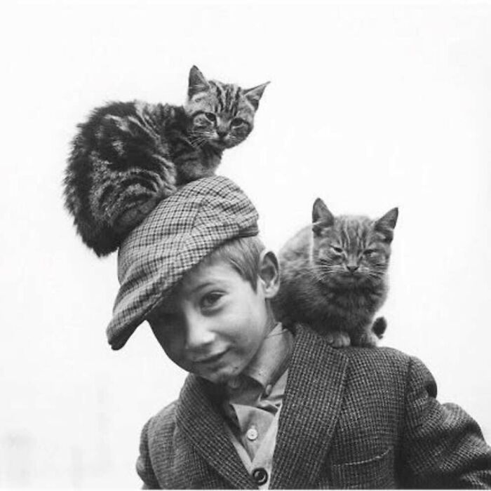 Vintage photo of a boy wearing a cap with two cats, showcasing the timeless bond between kids and cats.