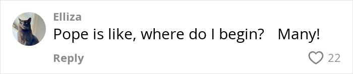 Comment by Elliza saying Pope is like where do I begin with many, displayed on a social media platform.