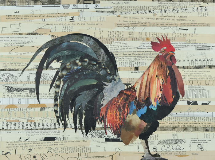 Colorful rooster photo manipulation collage made from layered vintage book pages and text background.
