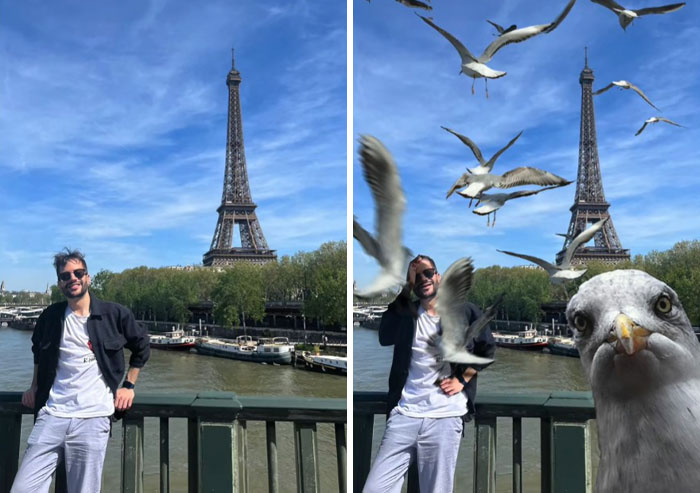 Before and after Photoshop edits showing a man posing by the Eiffel Tower with humorous oversized seagulls added.