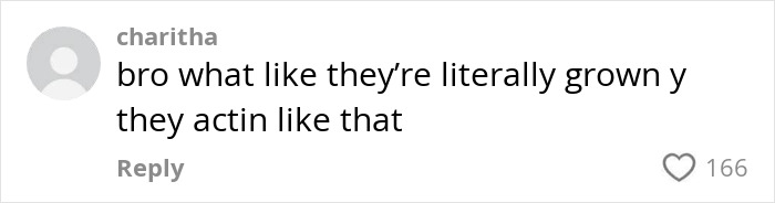 Comment on a post expressing disbelief at adults acting immaturely, highlighting emotional reaction related to TSA agents and bag mix-up.